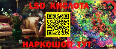 стаф Краснодар