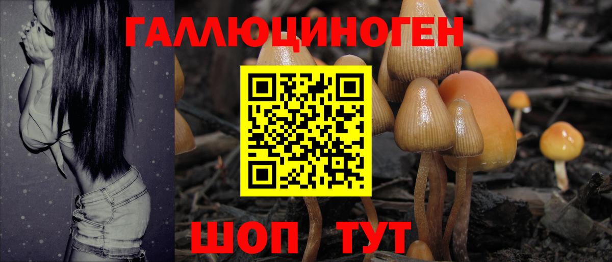 Псилоцибиновые грибы прущие грибы Сухой Лог