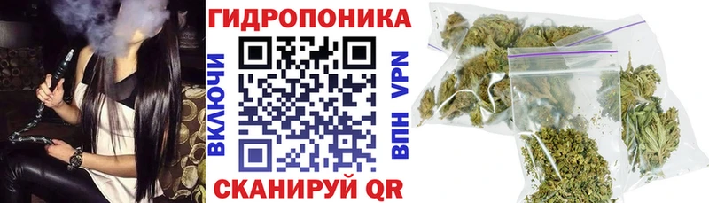 Шишки марихуана ГИДРОПОН  MEGA зеркало  Сухой Лог 